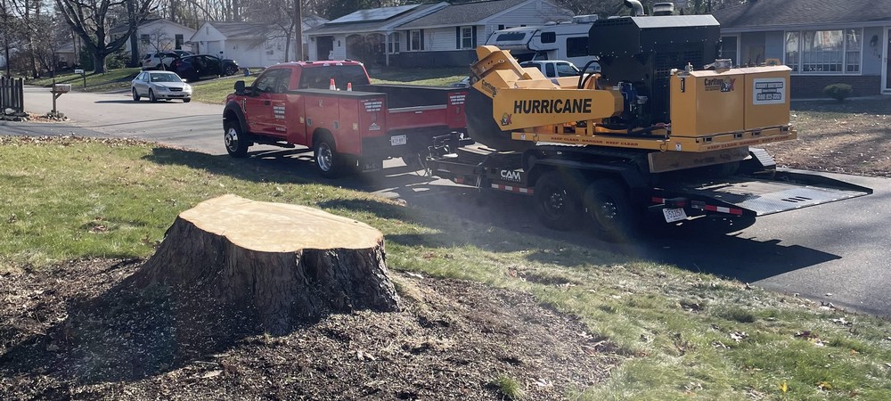 Khoury Brothers Stump Grinding