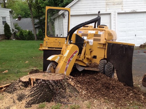 Affordable stump removal