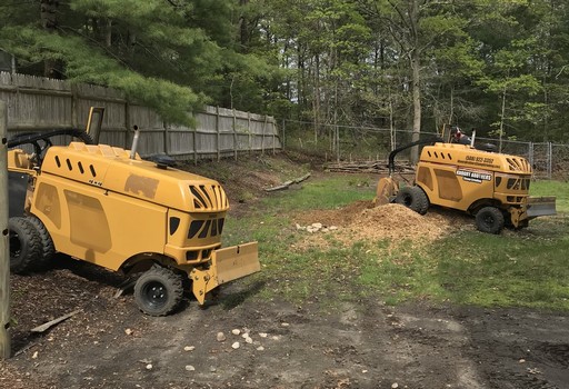 Fast, affordable stump removal