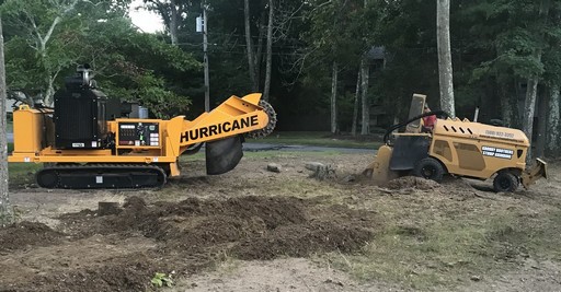 Massachusetts stump removal