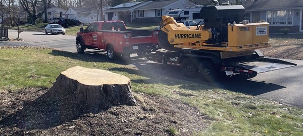 Stump Grinding